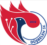 Düşbelen SK Logo
